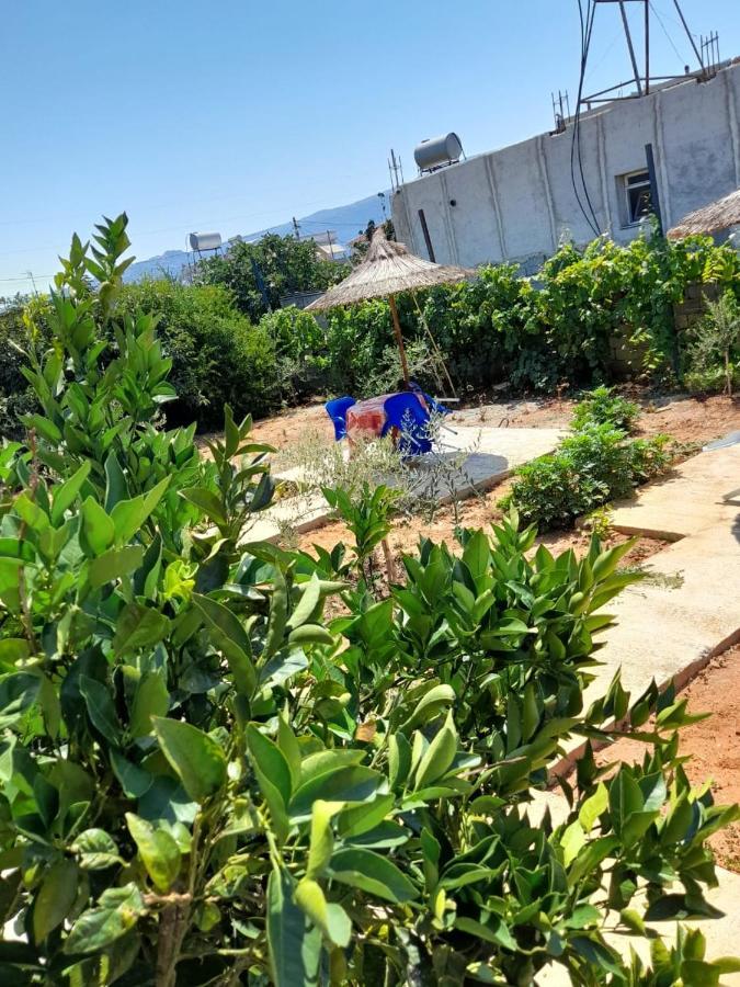 Rey Garden Villa Vlore Exterior photo